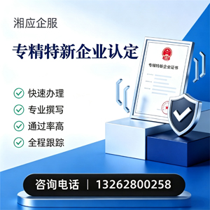 锦州专精特新企业申报服务