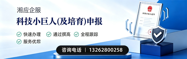 锦州科技小巨人及培育企业申报服务