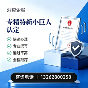 锦州专精特新小巨人申报服务