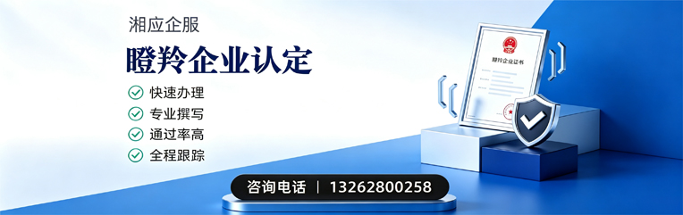 锦州瞪羚企业认定申报服务