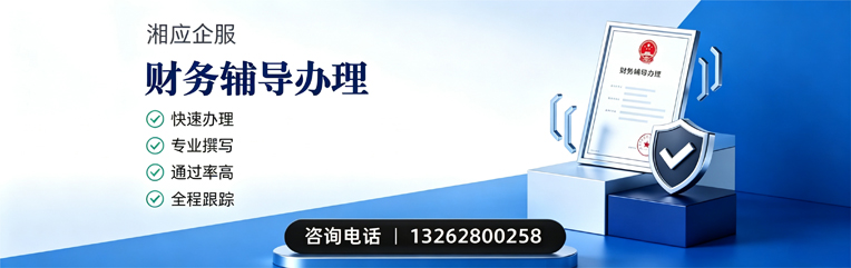 锦州财务辅导申请服务