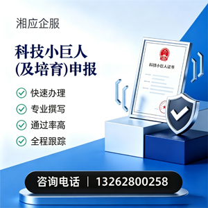锦州科技小巨人及培育企业申报服务