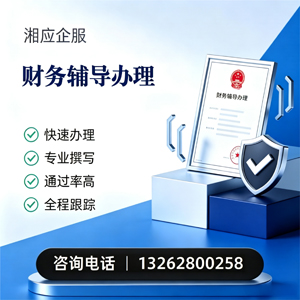 锦州财务辅导申请服务
