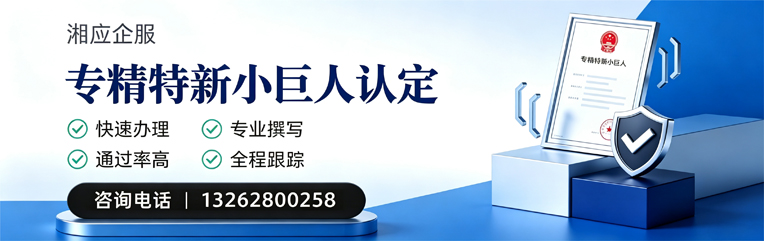 锦州专精特新小巨人申报服务